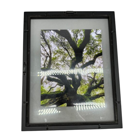 Black Metal Frame With Tree Art photo layered  nature moss 15x12" READ - Picture 1 of 8